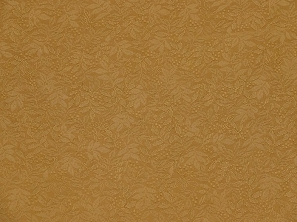 �Ⱦ桦��Ĺ�ᡡ��̵�ϡ����ڿ�������Ω�ƾ夬�ꡡ̤���ѡ������ʡ�No 3948250