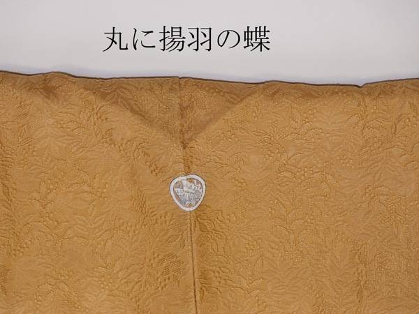 �Ⱦ桦��Ĺ�ᡡ��̵�ϡ����ڿ�������Ω�ƾ夬�ꡡ̤���ѡ������ʡ�No 3948250