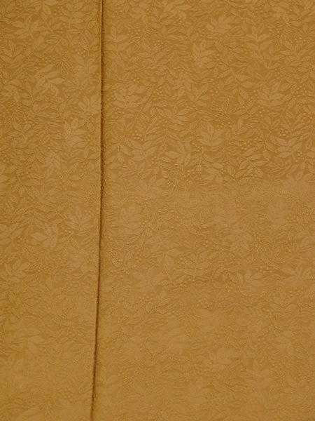 �Ⱦ桦��Ĺ�ᡡ��̵�ϡ����ڿ�������Ω�ƾ夬�ꡡ̤���ѡ������ʡ�No 3948250