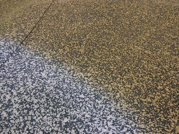 �����ġ����������ݡ�ˬ���塡����������ʡ�����Ω�ƾ夬�� ��No 3993533