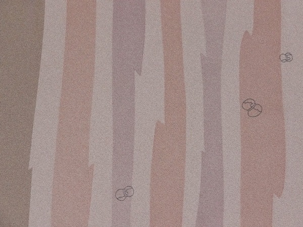 ���桡�����͡�������̤���ѡ������ʡ�����Ω�ƾ夬�� ��No 3994165