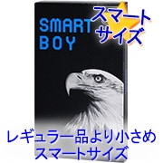 ���ޡ��ȥܡ���(12����)R