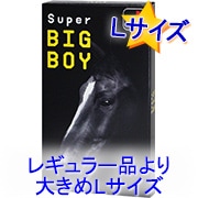 �����ѡ��ӥå��ܡ���(12����)R