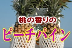 ��ɽ�ԡ����ѥ��󣲣�