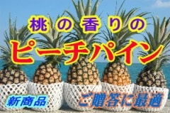 ��ɽ�ԡ����ѥ��󣵣�