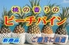 ɽԡѥ󣵣