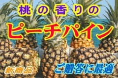 ��ɽ�ԡ����ѥ���15��