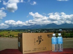 夢ひとひら