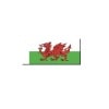 BECC Cotton Flag - GB30 Wales - Modern National Flag