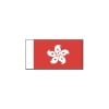 BECC Cotton Flag - HK01 HONG KONG Modern Flag