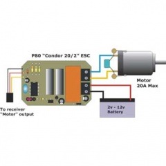 Action P80 ����ɥ� 20/2 AUTOSET Computer ���ԡ��ɥ���ȥ����顼