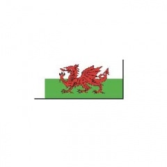BECC Cotton Flag - GB30 Wales - Modern National Flag