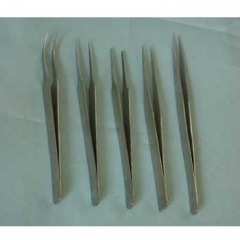 ModelExpo ��̩�ԥ󥻥å� ��5�ܥ��åȡ�