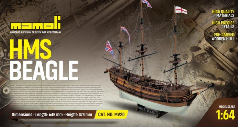 HMS Beagle Model Ship