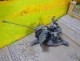 ASIATAM 1/16 �ɥ��ķ� 2cm Flak 38 �ж�����ˤ���åȡ�1:16 Bausatz 2cm Flak 38��2073