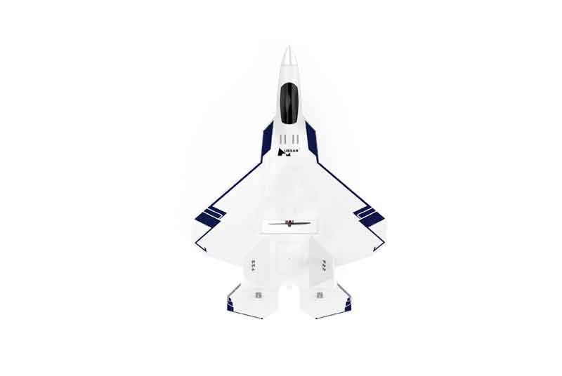 HUBSAN/ϥ֥  F22 2.4G 4CH 310ߥ᡼ȥWingspan EPO FPV RCԵRTF 720PHT015B - F22+HT015B+HS001