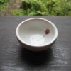 【信楽焼き】巌陶房 さくらんぼぐい呑