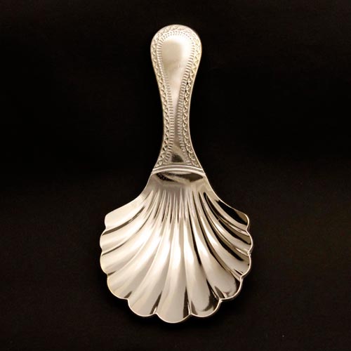 ティーキャディースプーン シェル｜ダージリン紅茶専門店 リーフル