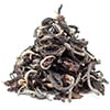 ��26�����ݎĎގ̎׎������ۡ��ե������ࡡClonal Tips��DJ-106