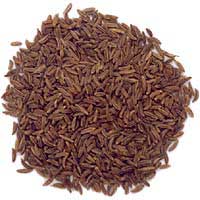 ����饦����������