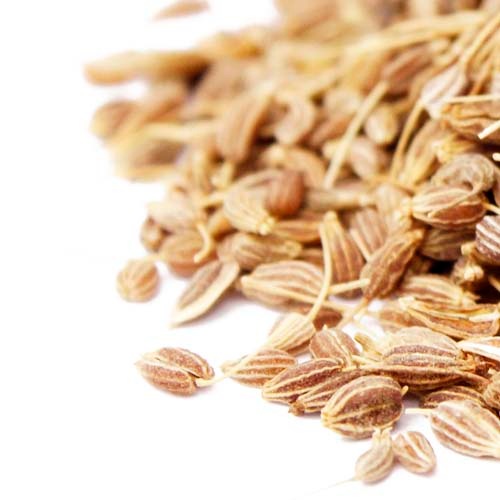 ���˥������ɡ��ʥ��饹�ɡ�