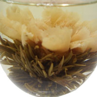 �����͡����������