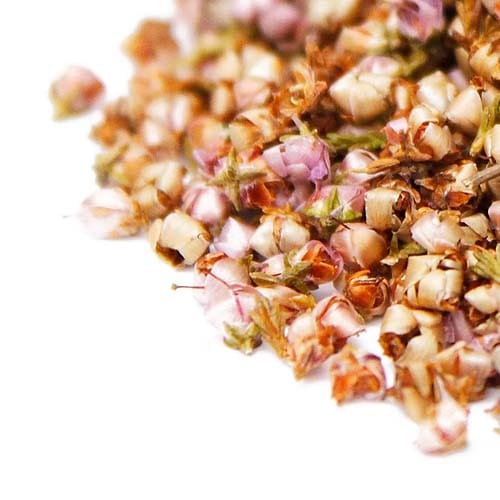 ���ꥫ����Ȣ��