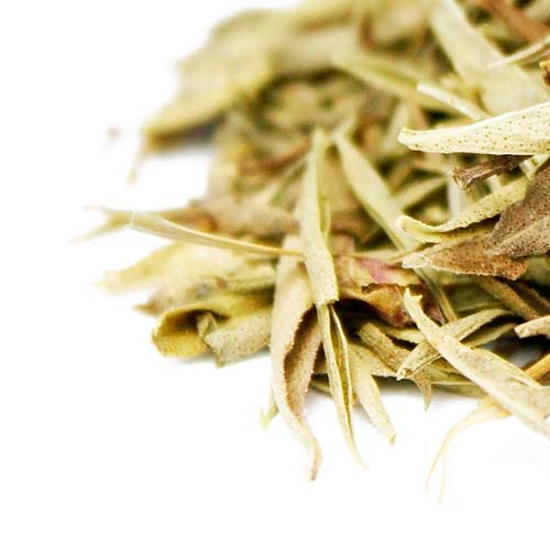 ���ꥨ�åȡ���Ȣ��