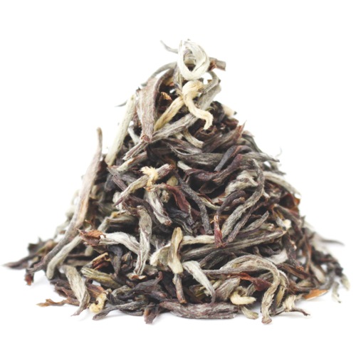 ��25�����ݎĎގ̎׎������ۡ��ގ����ގڎ��Ύ��̎����ࡡTippy Clonal��DJ-237