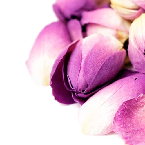 ���ޥ����������ڥ��롡�ʥ��饹�ɡ�