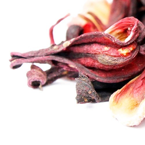 �ϥ��ӥ���������Ȣ��