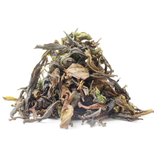 ��25�̎������Ď̎׎������ۡ��ե������ࡡClonal Tips��DJ-16