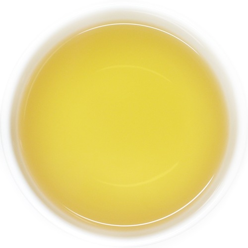 ��25�̎������Ď̎׎������ۡ��ե������ࡡClonal Tips��DJ-16