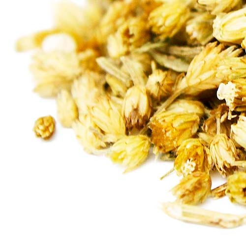 ���������Ȣ��