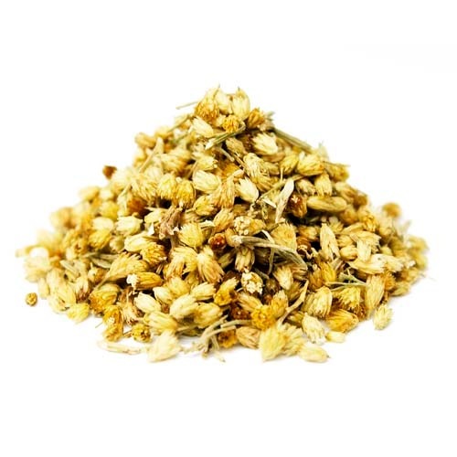 ���������Ȣ��