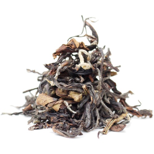 ��25�����ݎĎގ̎׎������ۡ���������ࡡOolong��EX-12