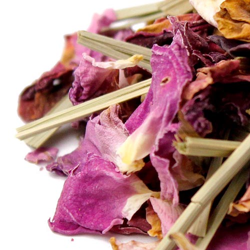 �������֥��ɡ����ӡ�