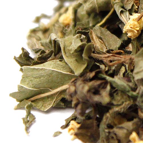 �եϡ��֡��桼����֥��ɡ����ӡ�