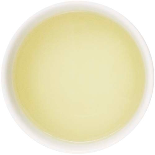 ��ͺ�����󥰥饹�֥��ɡ���Ȣ��