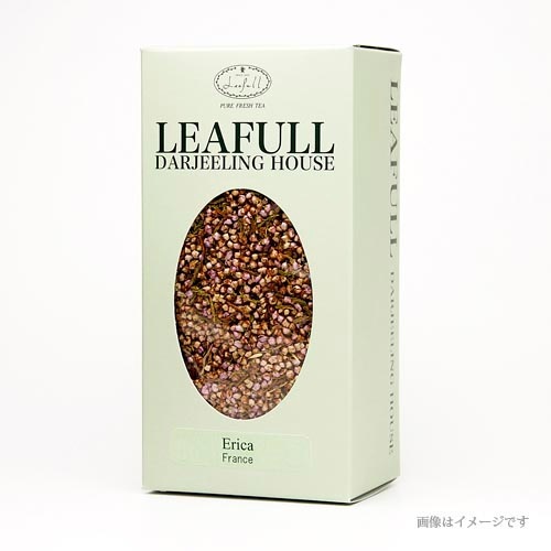 ��ͺ�����󥰥饹�֥��ɡ���Ȣ��