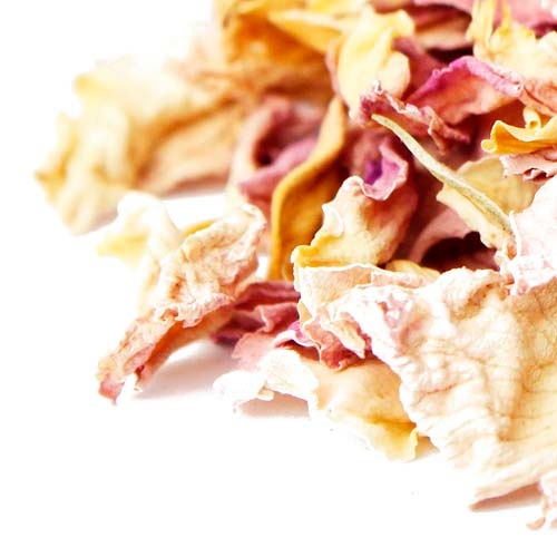 �������ԥ󥯡���Ȣ��