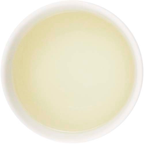 �磻��ɥ���󥸥Хåš��ʥ��饹�ɡ�