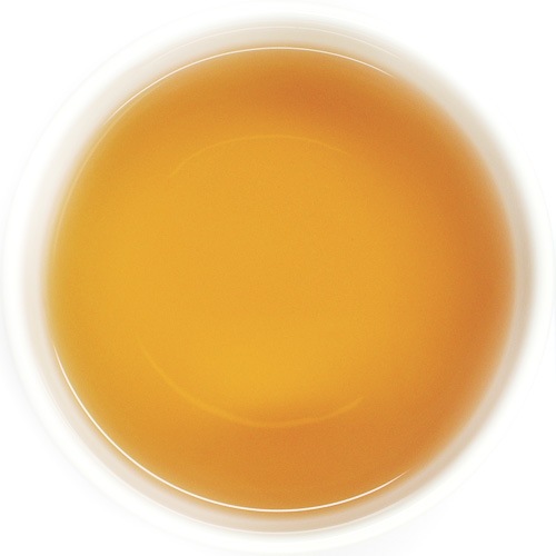 ��24��������ʥ�ۡ�����å���ȥ����ࡡTippy Clonal��DJ-742