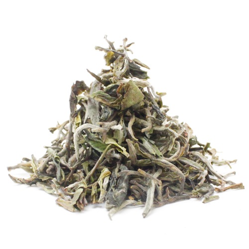 ��25�̎������Ď̎׎������ۡ���������ࡡClonal��DJ-6