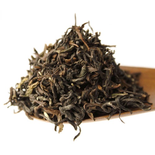 2020ʥۡƥࡡClonalSK-221