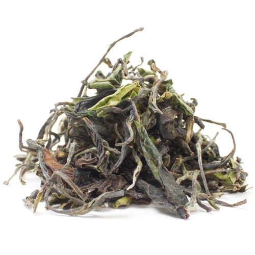 ��25�̎������Ď̎׎������ۡ����ҥ����ࡡMoonlight�� EX-1