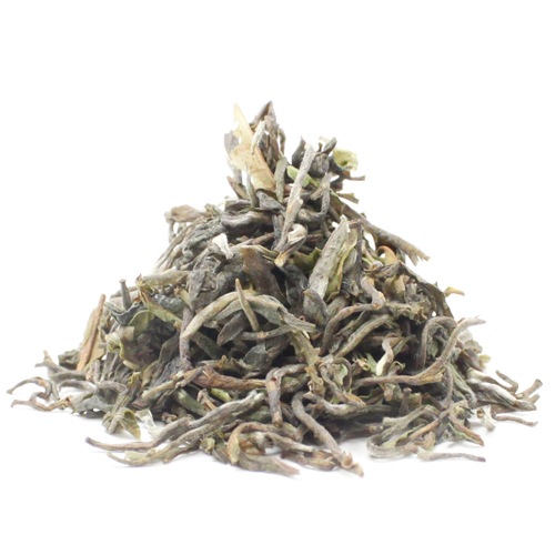 ��25�̎������Ď̎׎������ۡ���������ࡡClonal��DJ-1