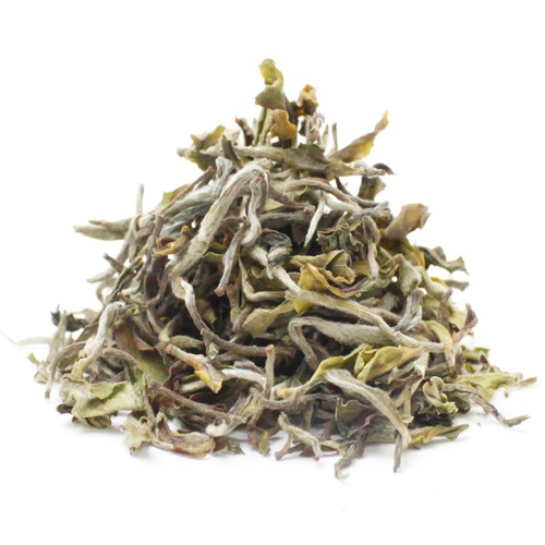 ��25�̎������Ď̎׎������ۡ���������ࡡMoonlight��EX-4