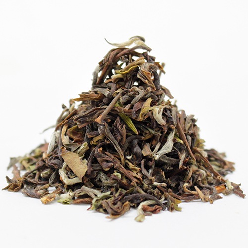 ��25��������ʥ�ۡ��ގ����ގڎ��Ύ��̎����ࡡTippy Clonal��DJ-770