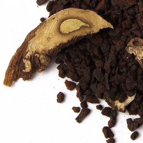 ����ݥݥ����ҡ�